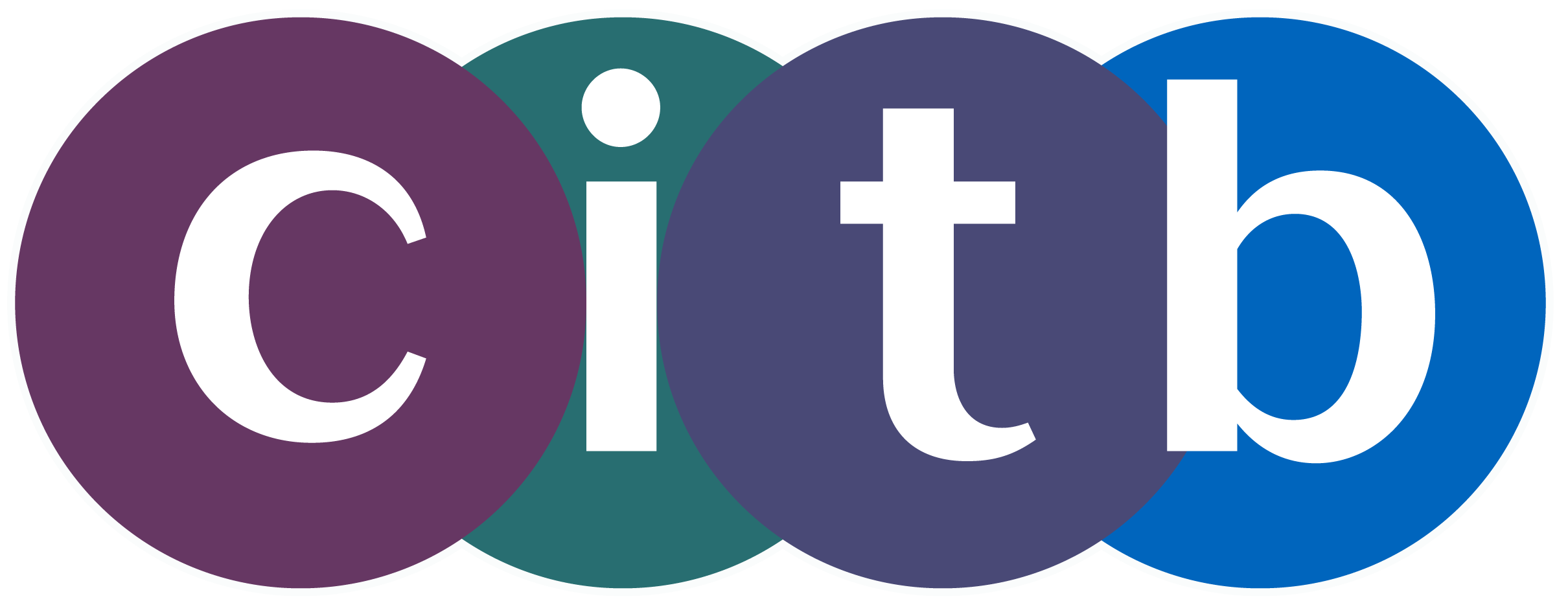 CITB logo 2 with white outline